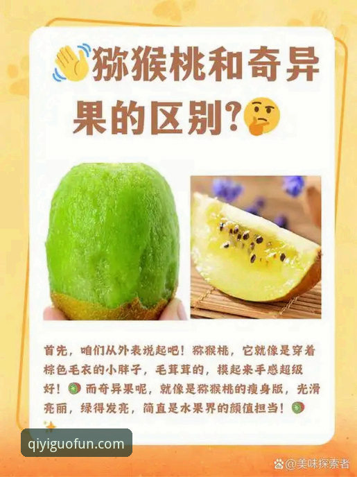 奇异果视频 奇异果视频深度分析:从正版体验到会员权益,一篇讲透