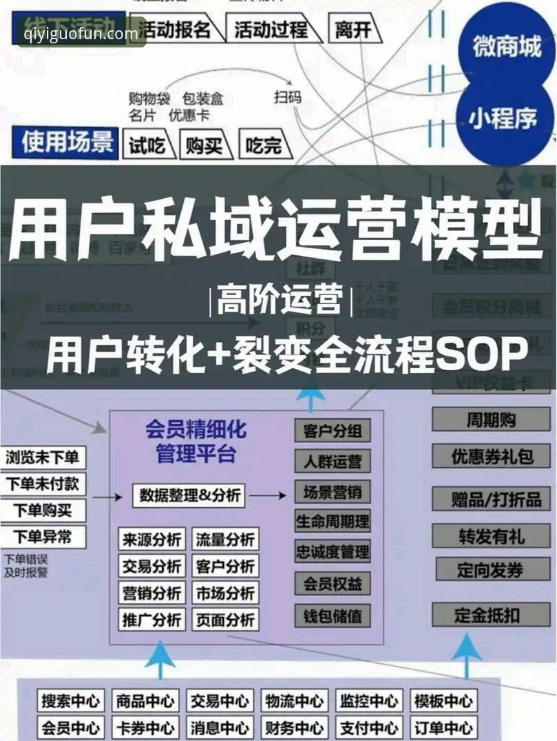 奇异果会员iOS版最新动态：流媒体行业竞争格局与用户体验升级解析